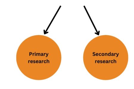 Primary research (800 x 333 px)